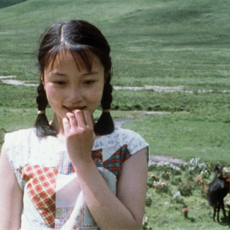 Xiu Xiu: The Sent Down Girl (1998)
