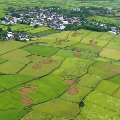 Beyond Beauty, Taiwan From Above Taiwanese Movie photo