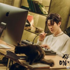 My Catmate Chinese Drama photo