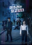 She Knows Everything korean drama review