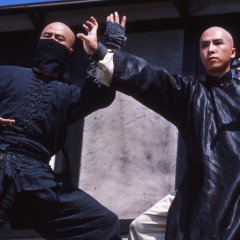 Iron Monkey 1 Hong Kong Movie photo