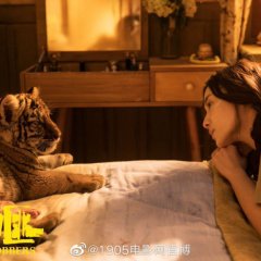 Tiger Robbers Chinese Movie photo