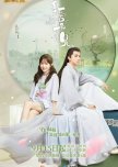 My Dear Brothers chinese drama review