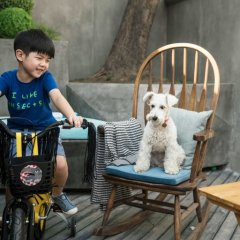 Push and Shove Chinese Movie photo