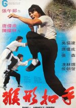 Snake in the Monkey's Shadow Hong Kong Movie photo