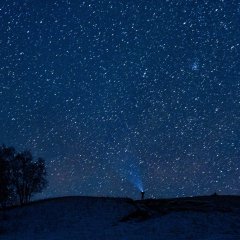 Fly Close to the Ground Chinese TV Program photo