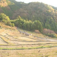 Tabiya Okaeri Japanese Drama photo