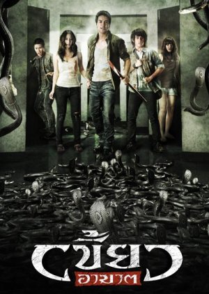 The Intruder (2010) poster
