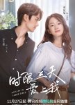 Love Me in Three Days chinese drama review