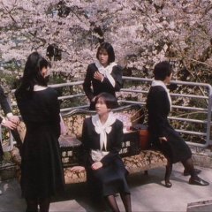 The Cherry Orchard Japanese Movie photo