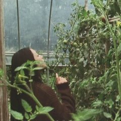 A Gap In The Skin Japanese Movie photo