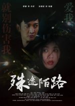 Where to Go Chinese Movie(2022) photo