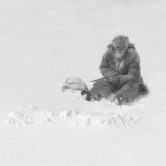 Seven Days Chinese Movie(2016) photo