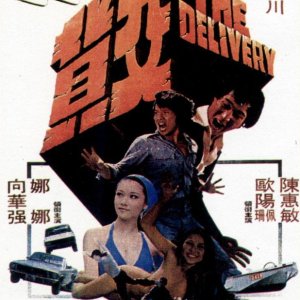 The Delivery (1978)