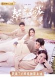 Intense Love chinese drama review