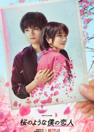 My Lover Like Cherry Blossoms (2022) poster