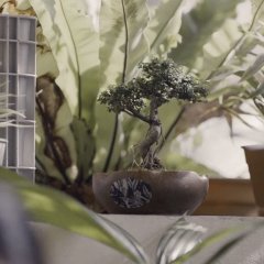 Happy Old Year Thai Movie photo