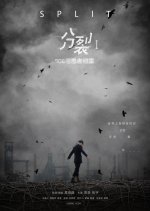Split Chinese Movie(2016) photo