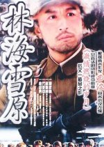 Tracks in the Snowy Forest Chinese Drama(2004) photo