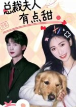 Zong Cai Fu Ren You Dian Tian Chinese Drama photo