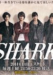 SHARK japanese drama review