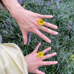 The Matchmakers Korean Drama photo