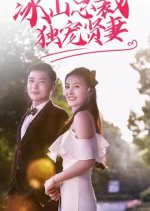 Bing Shan Zong Cai Du Chong Xian Qi Chinese Drama photo