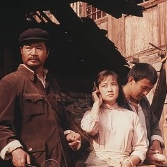 Hibiscus Town Chinese Movie photo