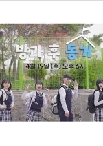 From Classmate to Roommate Korean Drama photo