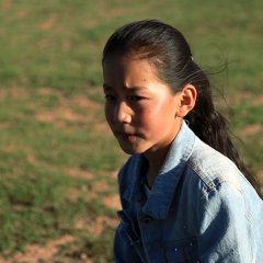 The Fascinating Dream in the Grassland Chinese Movie photo