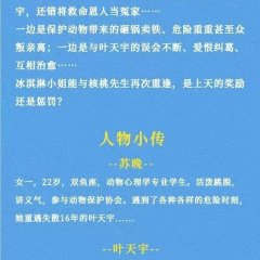 Bing Qi Lin Lian Ai Le Chinese Drama photo