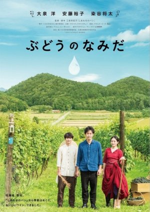 A Drop of the Grapevine (2014) poster