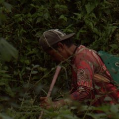 Lusong Philippines Movie photo