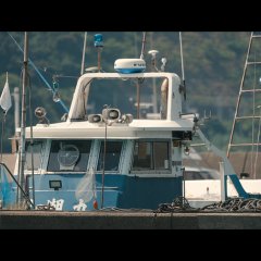 Cafune Japanese Movie(2023) photo