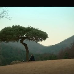 Navillera Korean Drama photo