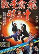 The 13 Styles Strike Taiwanese Movie photo
