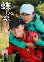 The Love out of Butterflies