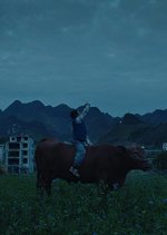 Xiao Hui and His Cows Chinese Movie photo