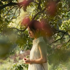 Borrowed Time Chinese Movie photo