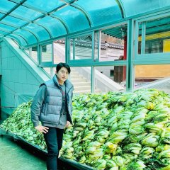 K Food Show: A Nation of Kimchi Korean TV Program photo