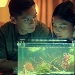 Isa Pa with Feelings Philippines Movie photo