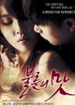 The Taste of an Affair Korean Movie(2017) photo