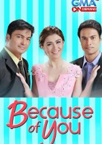 Because of You Philippines Drama(2015) photo
