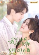 I Wait for the Sea Breeze to Hug You Chinese Drama photo