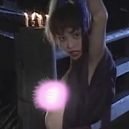 Ninja Vixens: Flame of Seduction (2002)