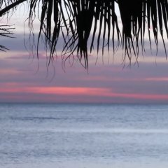 Evening Café Thai Drama photo