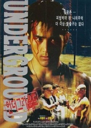 Underground (1996) poster