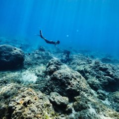 Blood of the Blue Taiwanese Movie photo