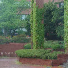 A Time Called You (2023) photo