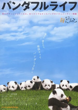 Panda Diary (2008) poster